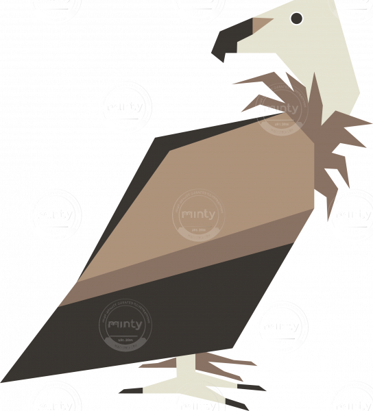 Griffon Vulture Bird Vector Artwork - Illustration (544x600), Png Download