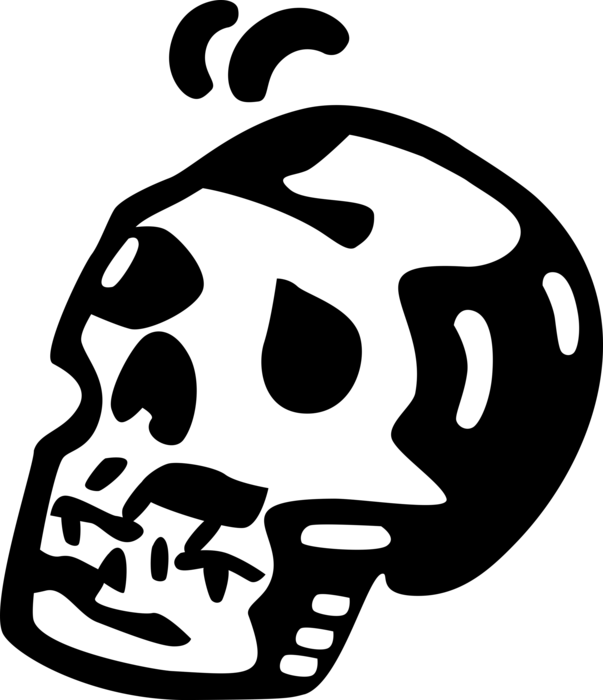 Vector Illustration Of Human Skull Head (603x700), Png Download