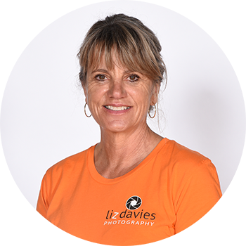 Liz Davies Photographer - Photography (350x350), Png Download