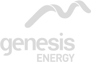 Genesis Event Photographer - Genesis Energy (534x458), Png Download