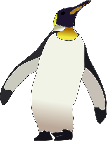 Emperor Penguin, Penguin, Bird - Kaiserpinguin Png (366x480), Png Download
