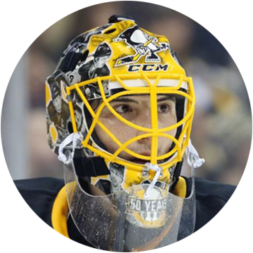 Nhl, Ahl, International Goalie Masks Portfolio - Goalie Mask Airbrush (360x360), Png Download
