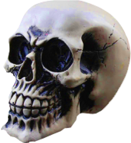 Skeleton Head Png Transparent Images - Dsstyles Led Light Up Skull Halloween Decoration Night (640x480), Png Download