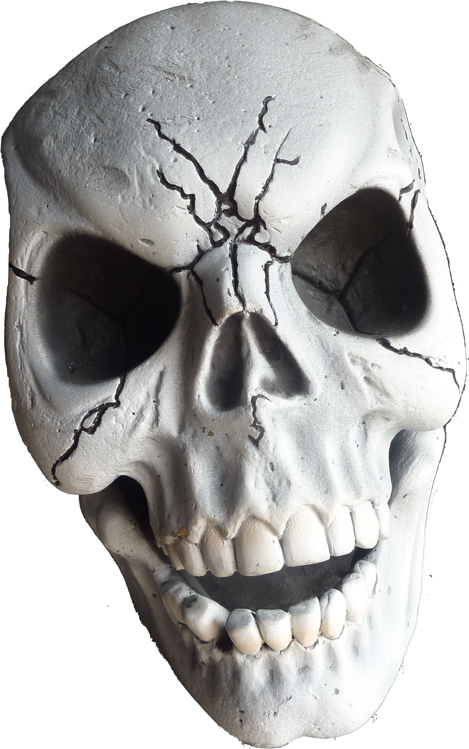 Bullet Png - Skull (3648x2736), Png Download