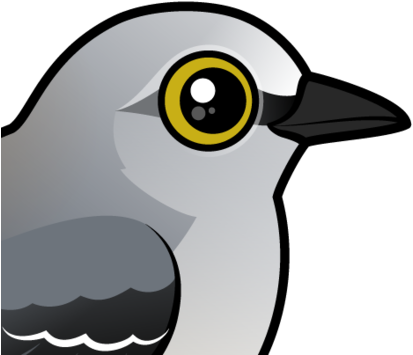 Mockingbird Clipart Common - Northern Mockingbird Clip Art (440x440), Png Download