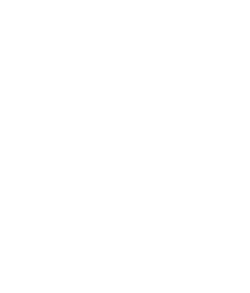 Skull White Skull Png (510x599), Png Download