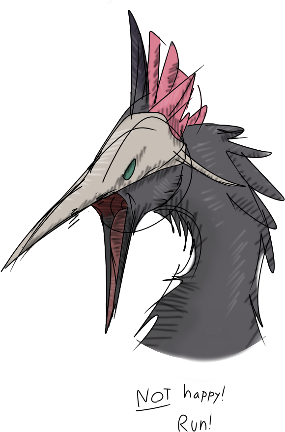Kp9stor - Hummingbird (900x1000), Png Download