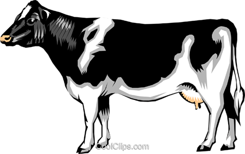 Dairy Cow Royalty Free Vector Clip Art Illustration - Eagles Vs Cowboys Funny (480x302), Png Download
