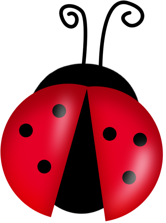 Cute Ladybugs Clipart - Cartoon Ladybug (579x777), Png Download