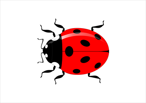 Ladybug Insect Vector Garden Nature Red Sp - Vector Graphics (481x340), Png Download