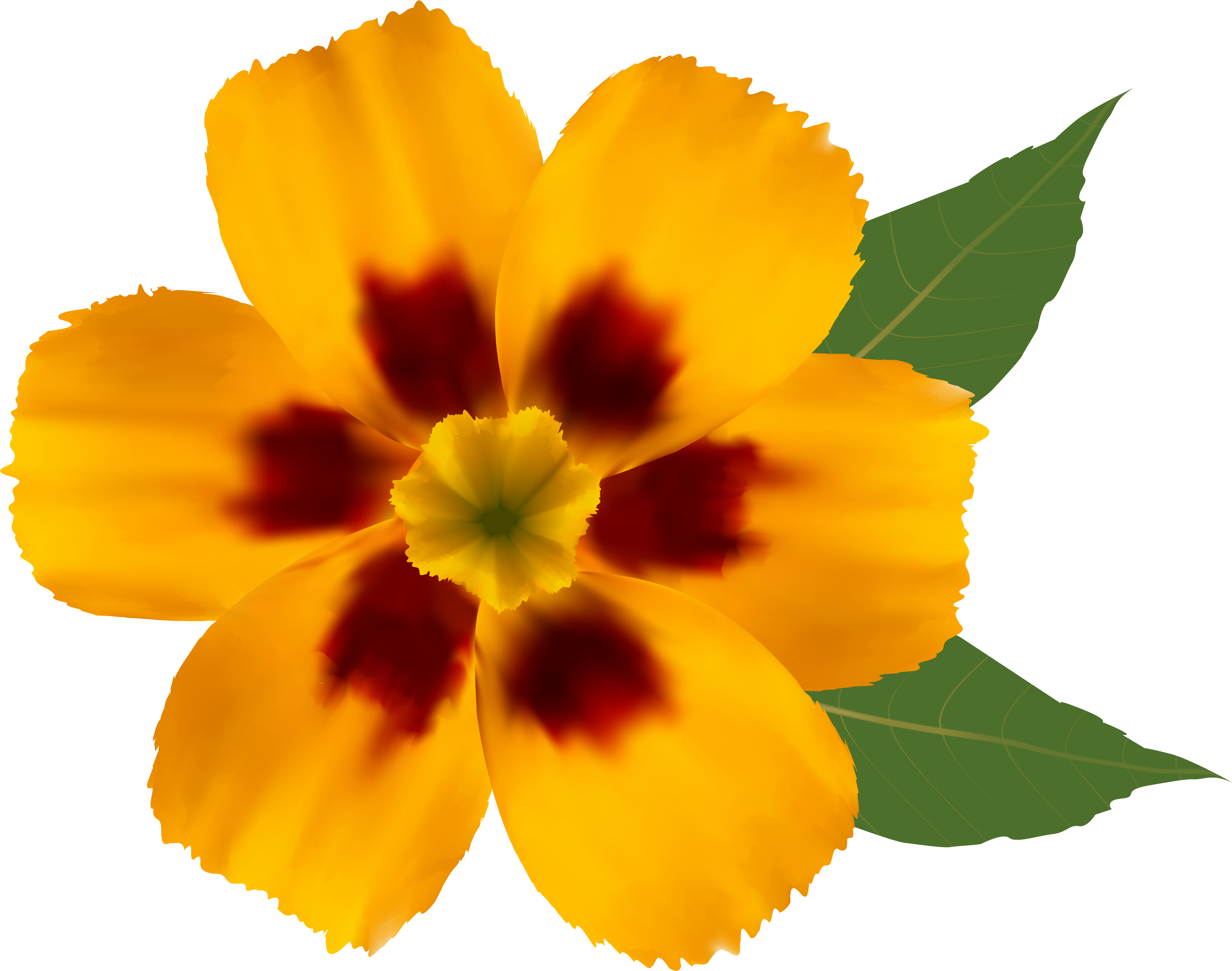 Orange Flower Clipart Cool - Yellow Flower Png (6288x4996), Png Download