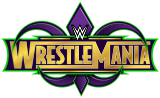 We're Celebrating Wwe Wrestlemania With A Free Tournament - 2018 Topps Wwe Road To Wrestlemania 10ct Blaster Box (600x200), Png Download