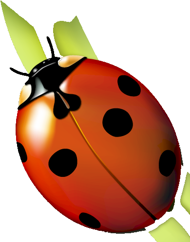 Pavo Real, Lady Bugs, Birdhouse, Decoupage, Clip Art, - Ladybug (401x511), Png Download