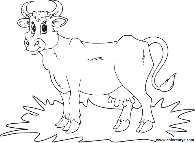 Colorear Vaca - Vacas Para Colorear (674x494), Png Download
