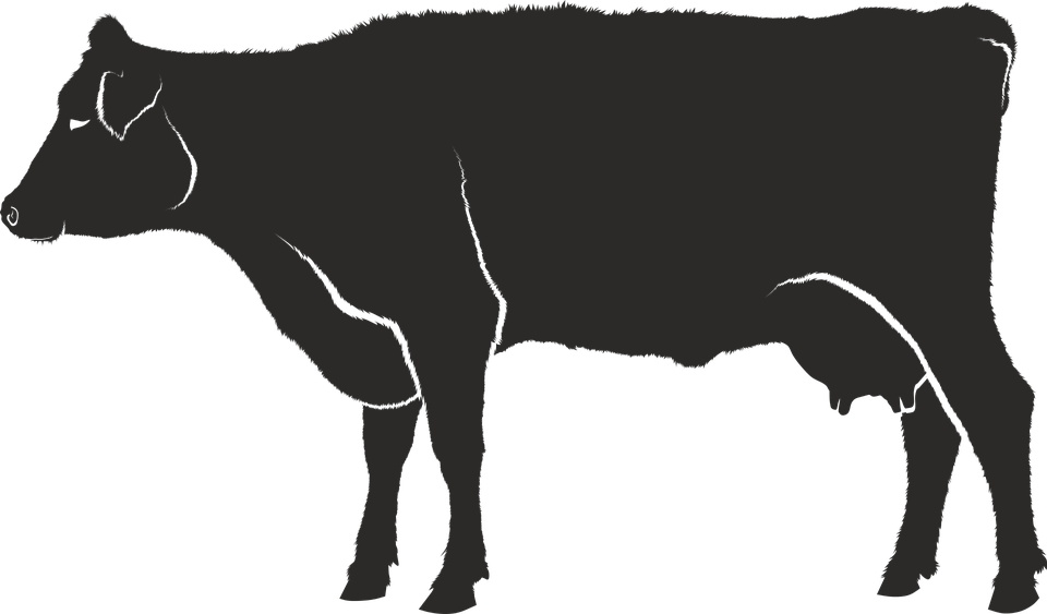 Silueta Vaca Png - Sapi Siluet (960x563), Png Download