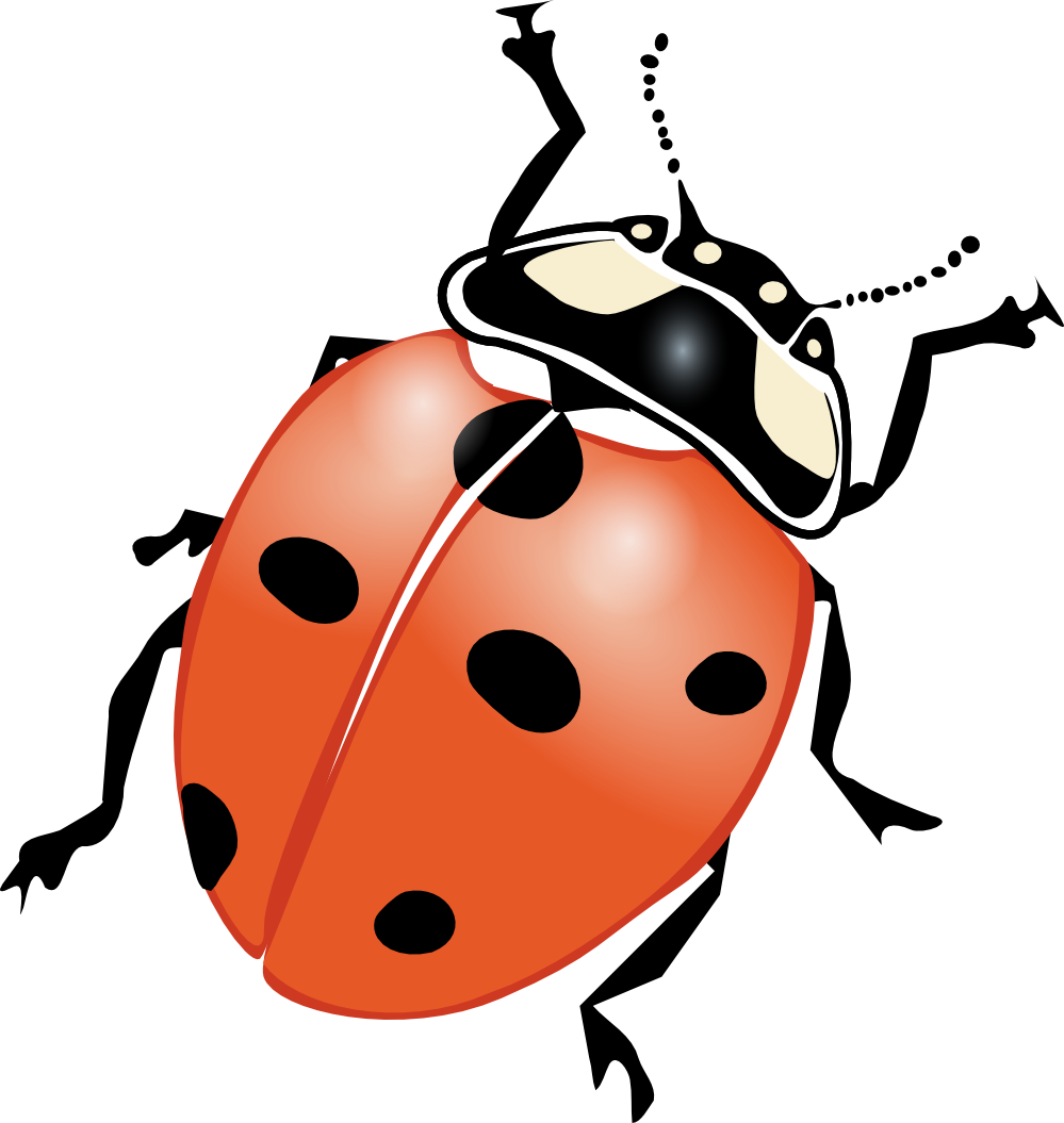 Ladybug Clip Art Vector Panda Free Images (564x596), Png Download