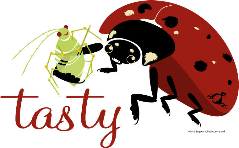 Ladybug And Aphid Web-07 - Aphid (786x500), Png Download