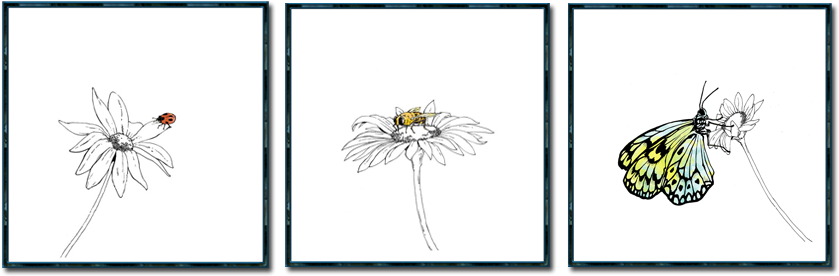 Ladybug On Daisy - Sunflower (880x311), Png Download