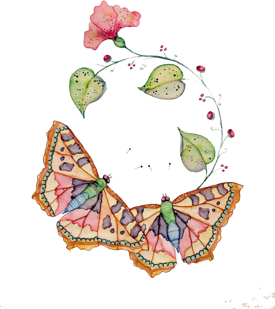 Insects Clipart Watercolor - صور فراشات عالية الدقة (960x1238), Png Download