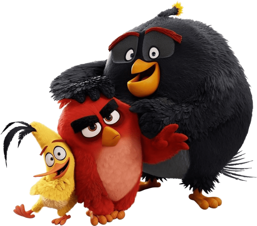 The Angry Birds Movie Images The Trio Hd Wallpaper - Angry Birds Movie Png (834x794), Png Download