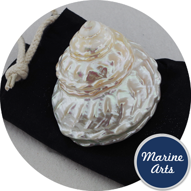 Pearl - Wavy Turban (395x395), Png Download