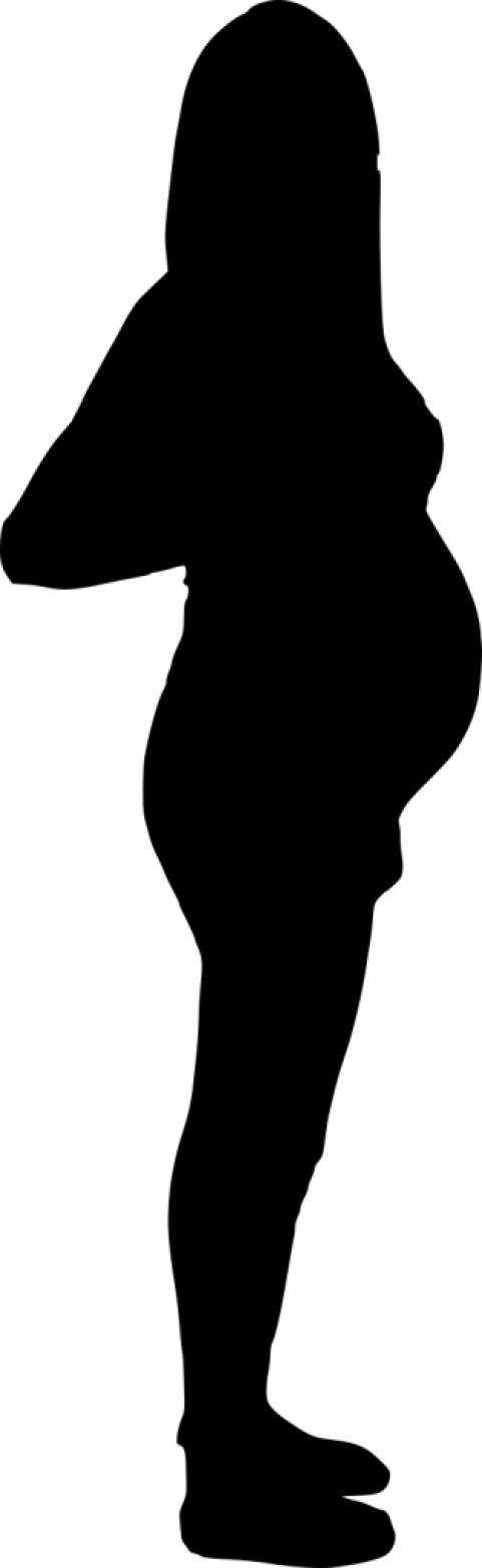 Free Png Pregnant Woman Silhouette Png Images Transparent - Pregnant Woman Silhouette Png (481x1566), Png Download