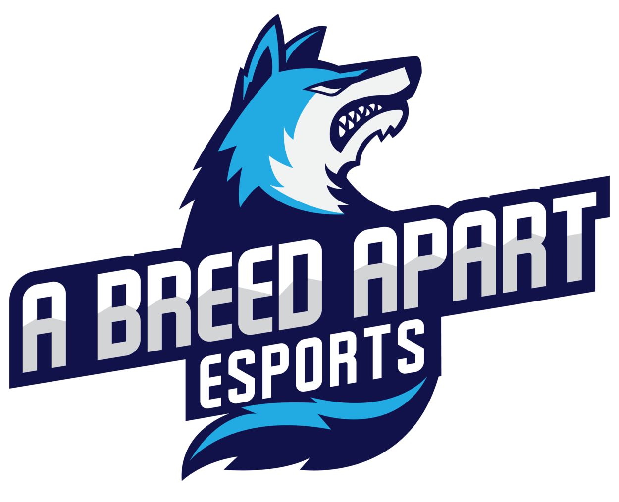 Team A Breed Apart - Humour (1250x1014), Png Download