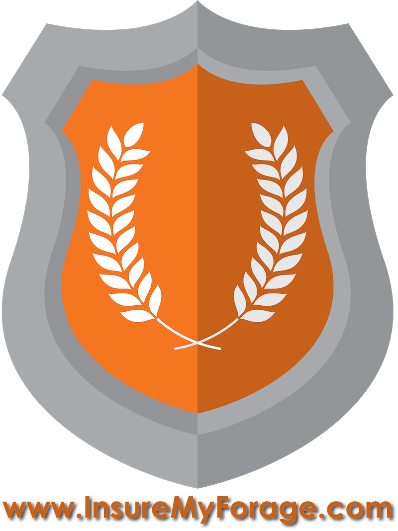 Thank You To Our Gold Sponsors - 1ère Place Png (800x1068), Png Download