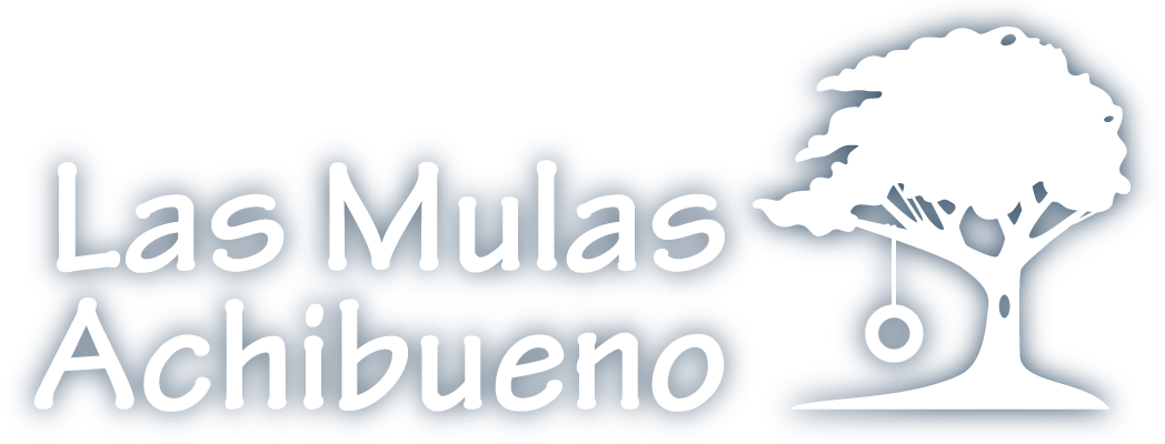 Achibueno - Com Achibueno - Com Achibueno - Com - Las Mulas Summer Camp (1048x400), Png Download