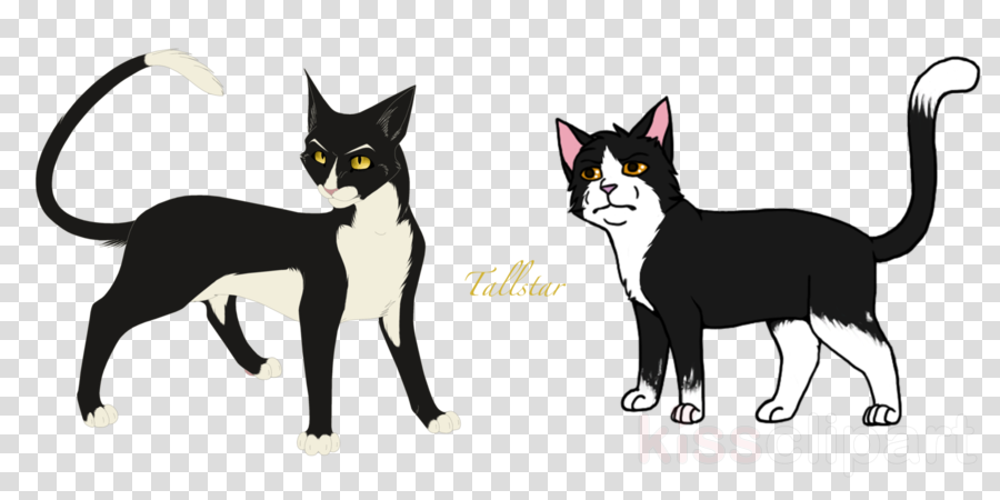 All Warrior Cats Clipart Kitten Whiskers Cat - Cat (900x450), Png Download