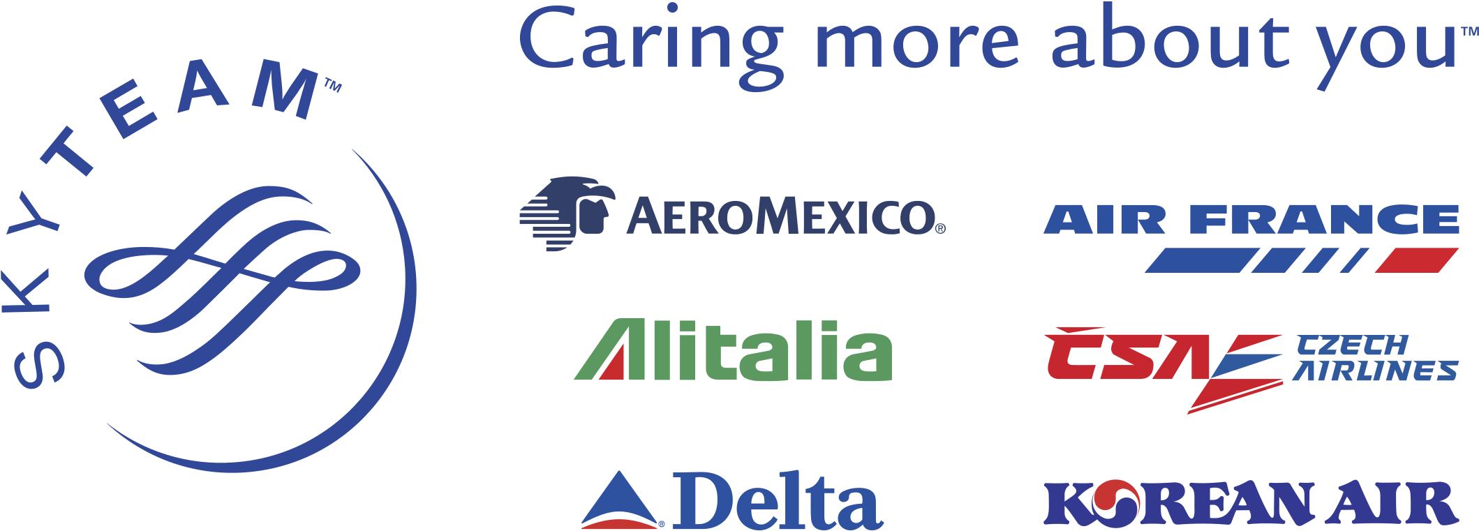 Download Skyteam Logo Png Transparent Png Image With No Background Pngkey Com