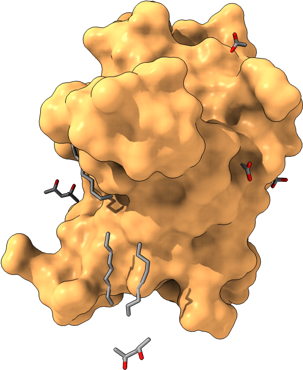 Surface Display - Map (1000x1000), Png Download