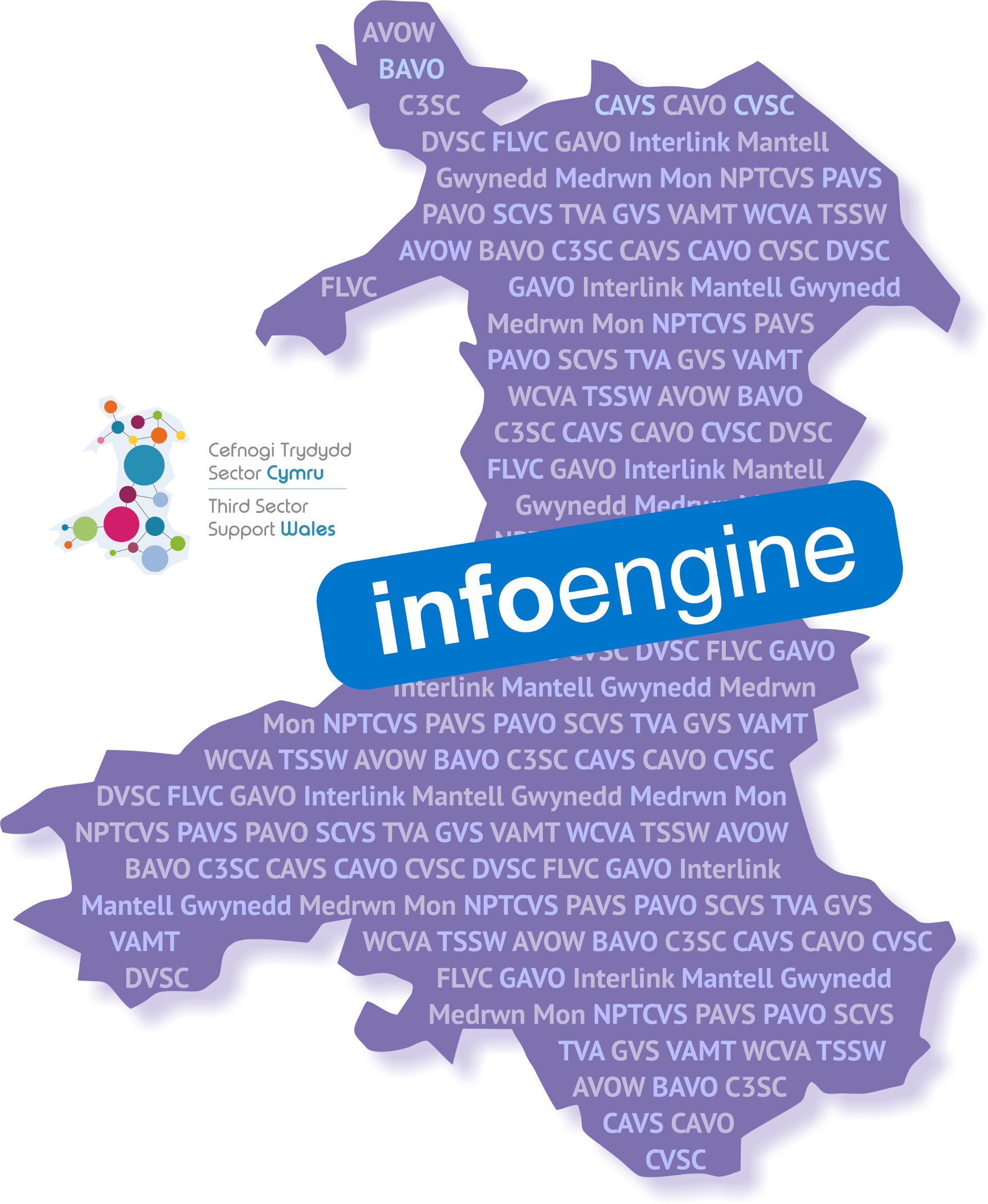 Infoengine Is Provided By Third Sector Support Wales, - Parallel (1922x2343), Png Download