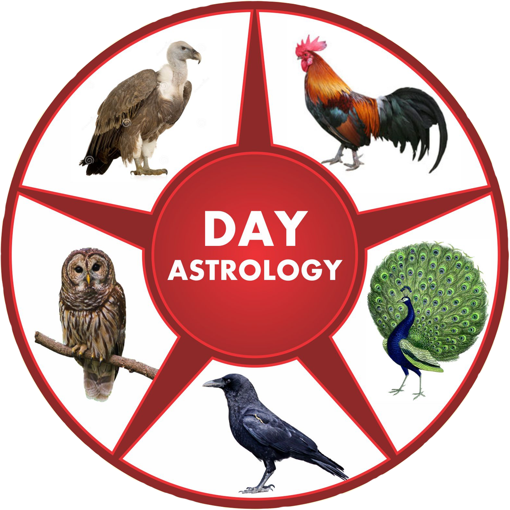 Neel Astro - Supernatural Devil's Trap (1000x1000), Png Download