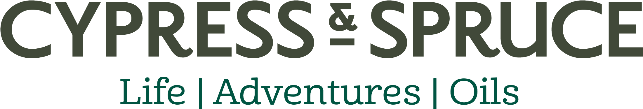 Administrateur Systeme Et Reseau (2288x577), Png Download