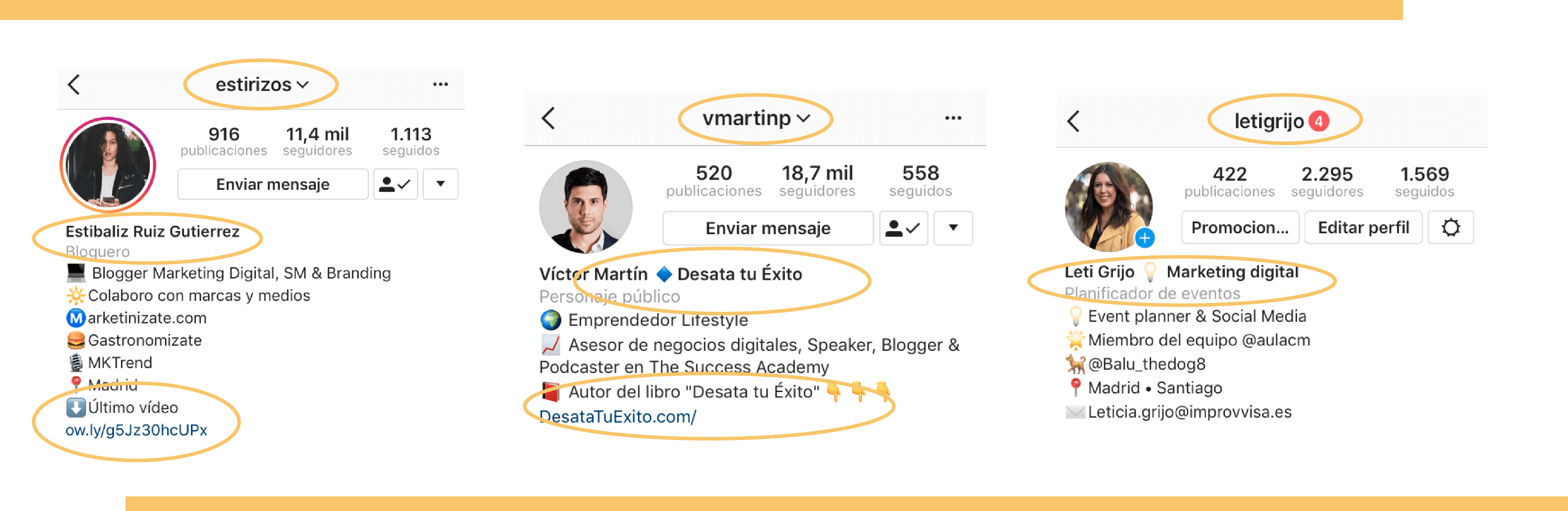He Insertado Palabras Claves Con Las Que Quiero Que - Perfil De Instagram 2018 (3535x1152), Png Download