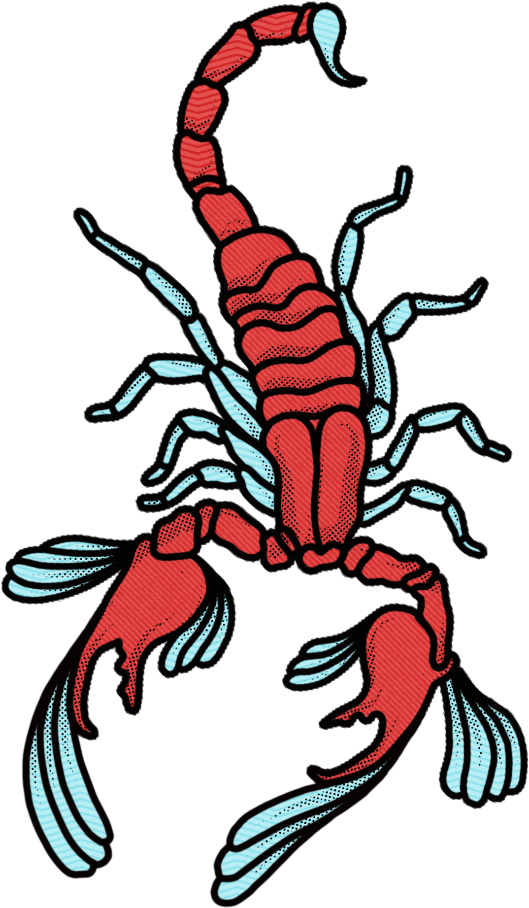 Jarrad Burley - Scorpion (1203x2052), Png Download