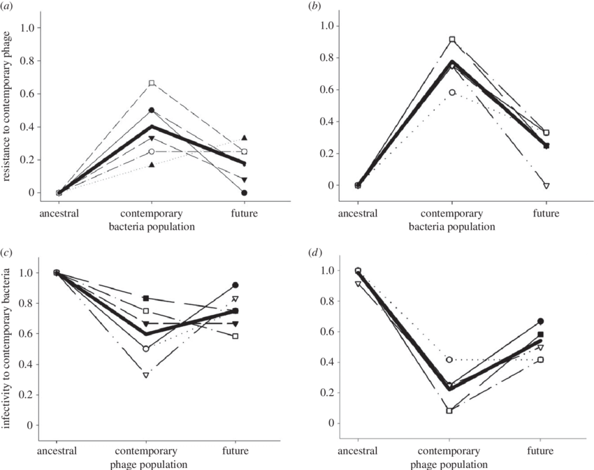 Coevolutionary Dynamics Of Bacteria And Phages With - Figure-four (850x673), Png Download