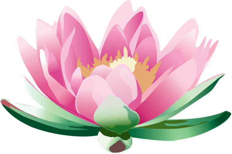 Achieve Balance Holistic Health (755x500), Png Download