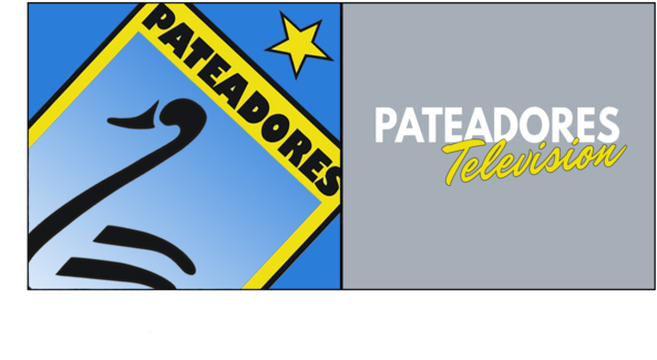 Pats Tv (1000x432), Png Download