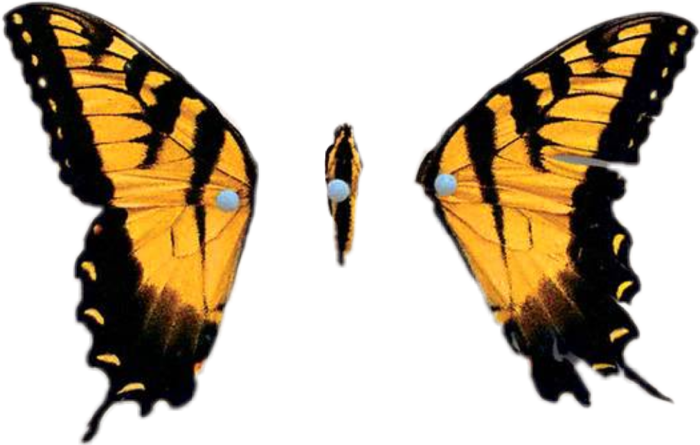 Report Abuse - Brand New Eyes (cd) (1011x642), Png Download
