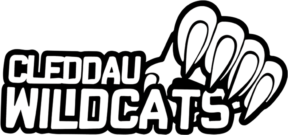 Cleddau Wildcats - St Brides Bay (1000x491), Png Download
