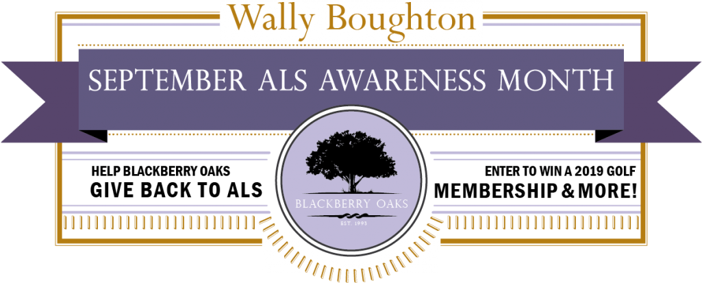 September Als Awareness Month - Bridge Base Inc. (1024x421), Png Download