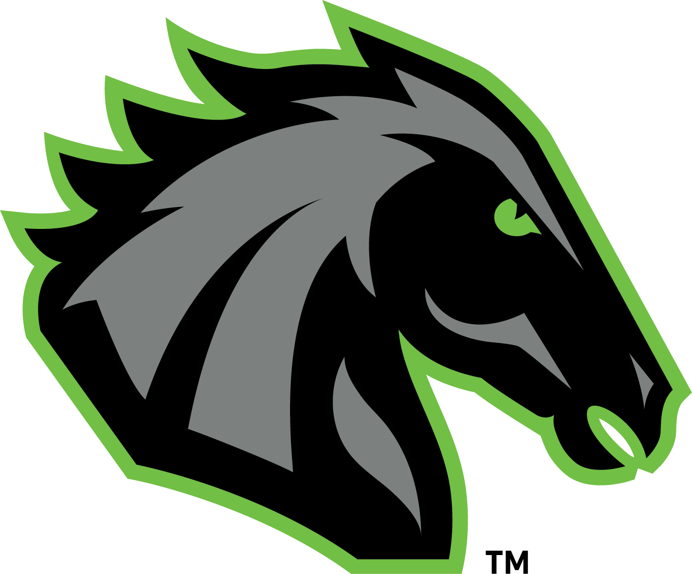 The East Carolina Torch Vs - Logo (1422x1181), Png Download