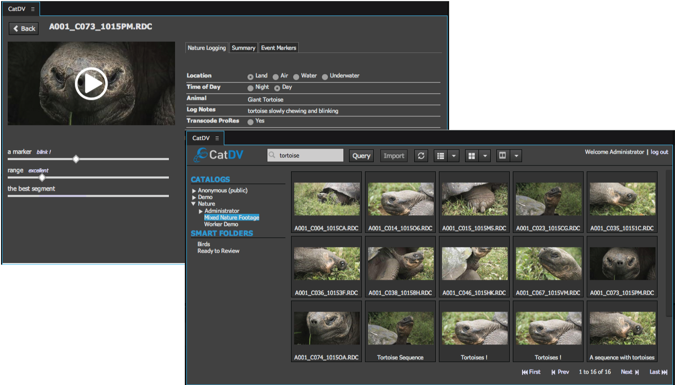 Adobe Premiere Pro - Adobe Premiere Content (1315x751), Png Download