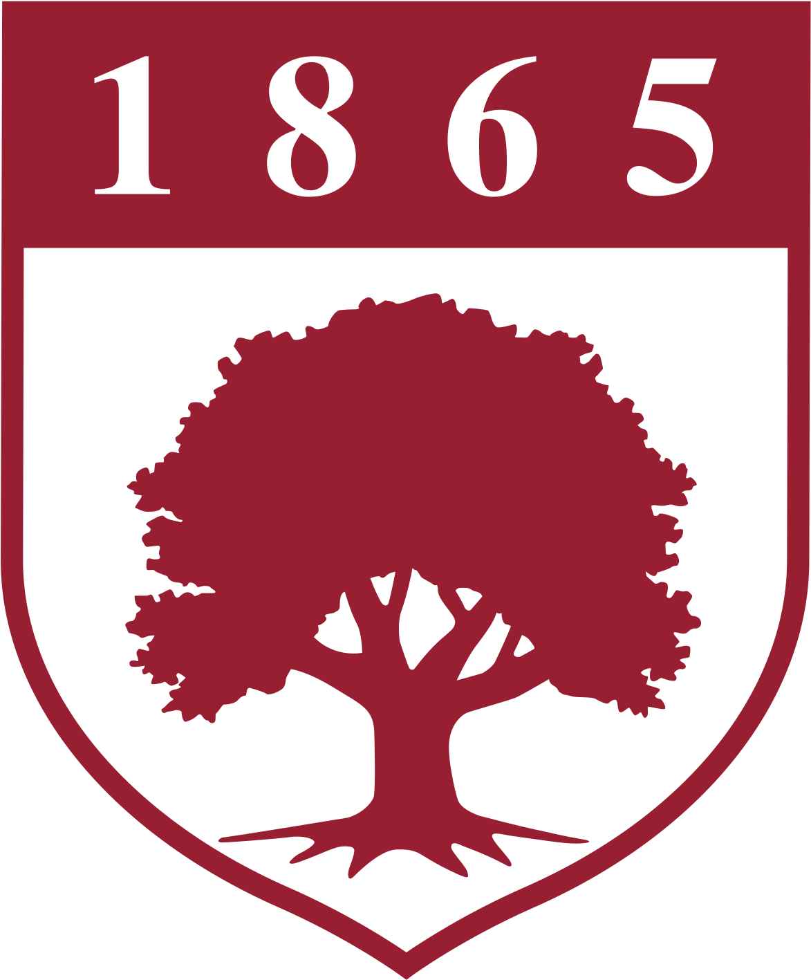 Download Rider University Logo PNG Image with No Background