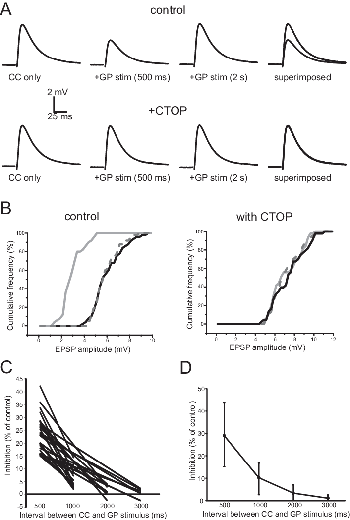 Download - Diagram (706x1049), Png Download