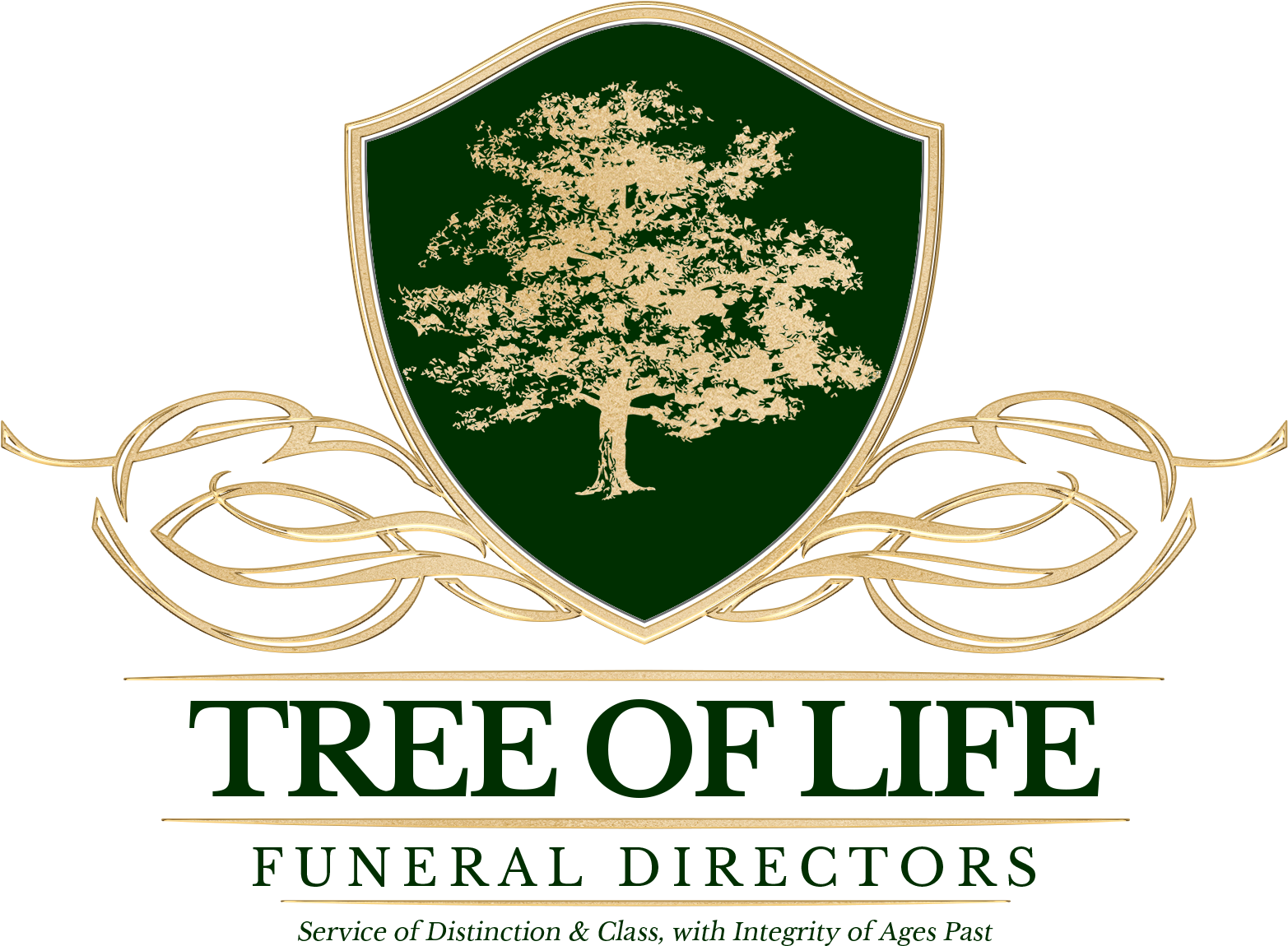 Families Who Come To Us Know That Years From Now, They - Realm Of Radiance By Jonathan Herrick (1600x1300), Png Download