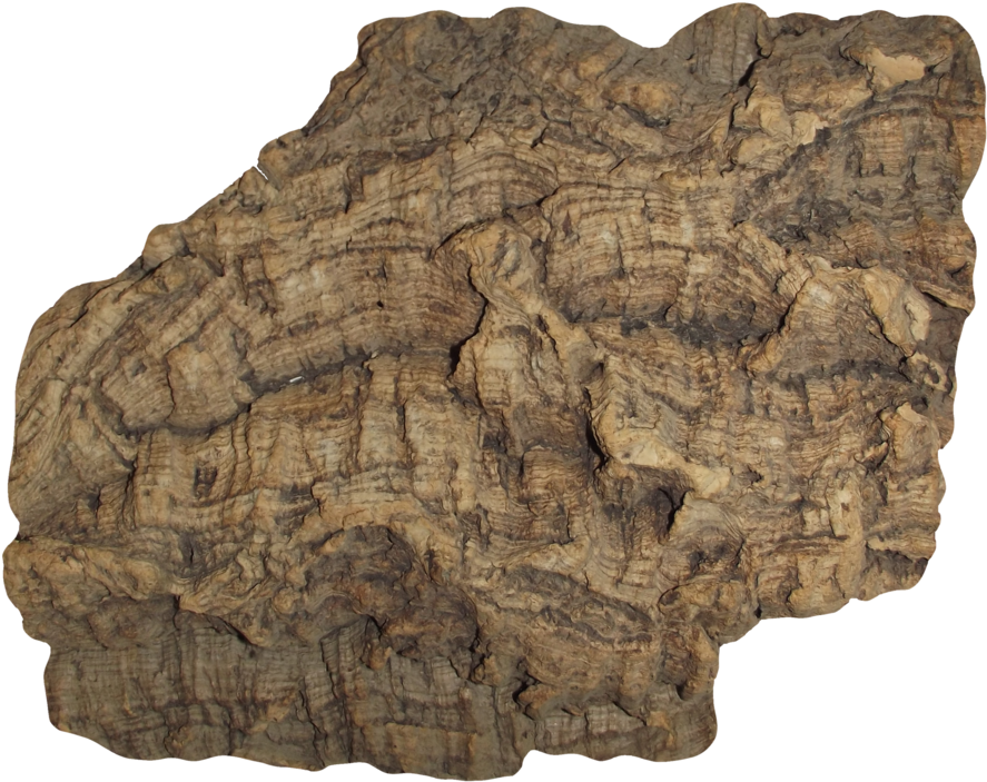 Barca Logo Png (900x720), Png Download