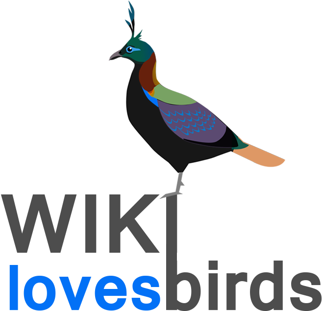 Monal Bird Of Uttarakhand (794x743), Png Download